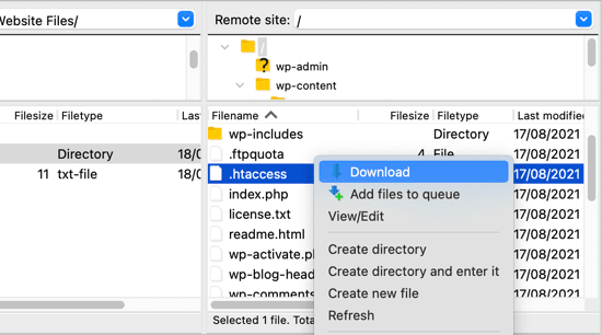 FTP WordPress - Download Option